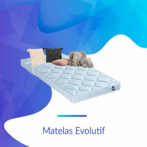 Bultex Évolutif