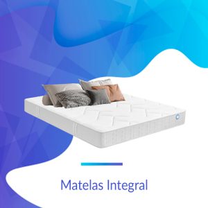 Bultex Integral