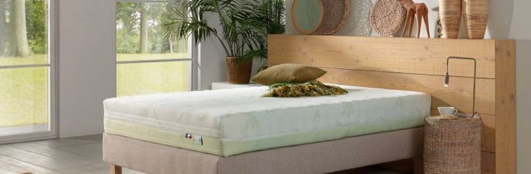 Le Matelas Vert L&rsquo;Écolo Mousse