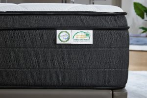 Memorypur Duotech