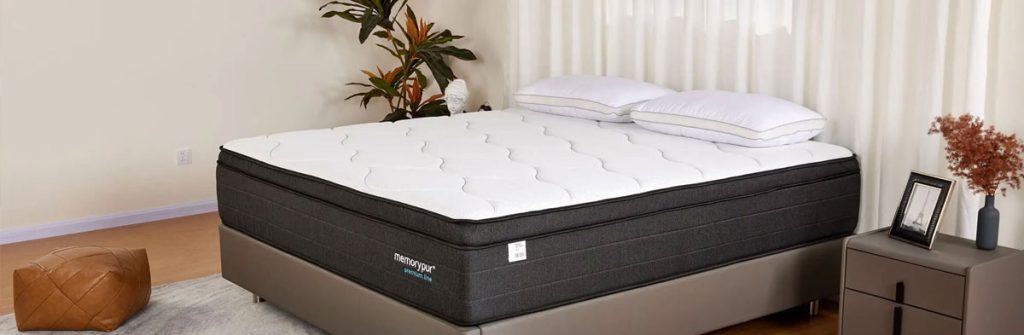 Memorypur Duotech