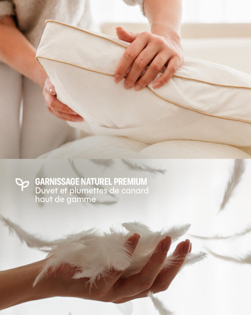 Garnissage plumes et duvet de canard du surmatelas Morphea Drimz