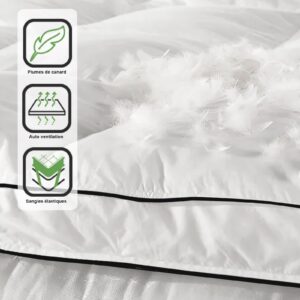 Surmatelas Sampur Plumes XXL