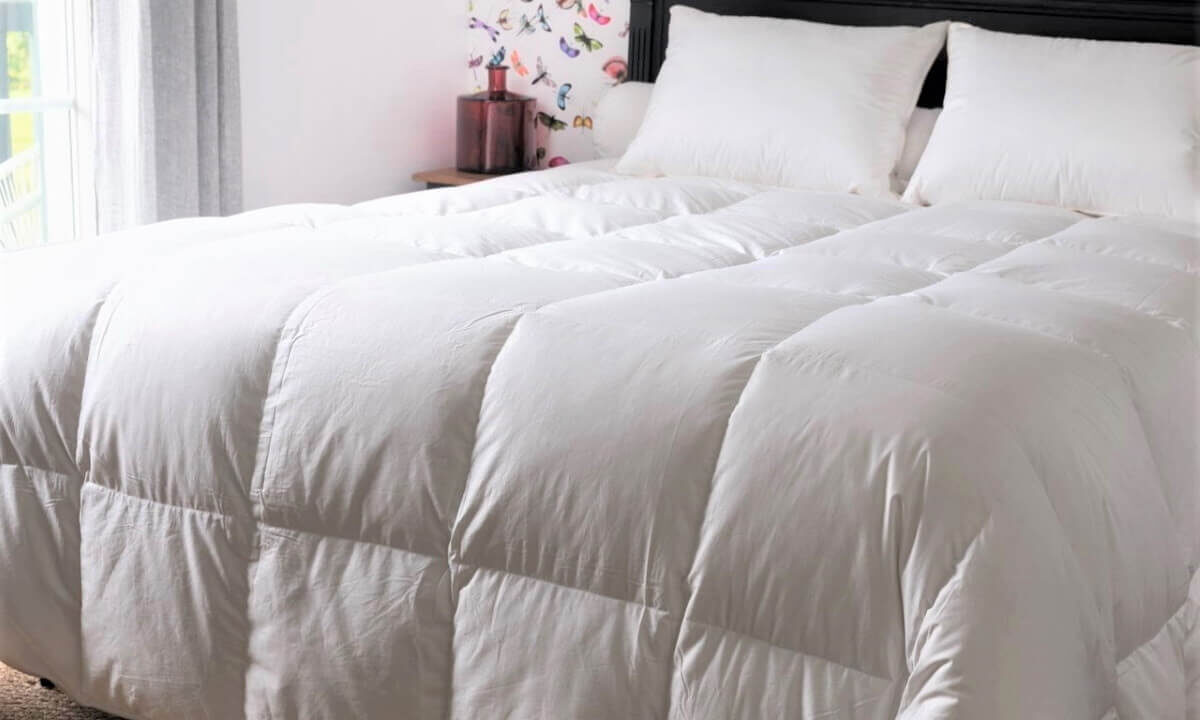 Castex Couette Couple Canard