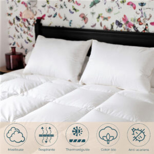 Castex Couette Couple Canard