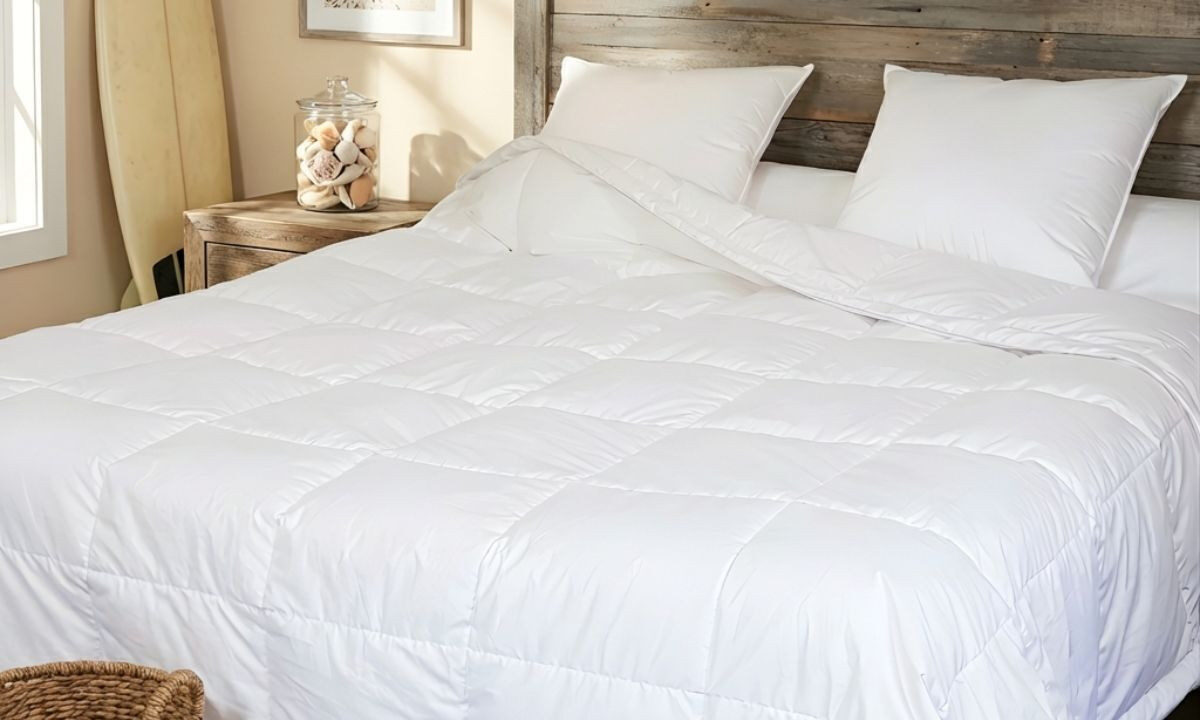 Castex Couette Fine Fraîcheur Canard