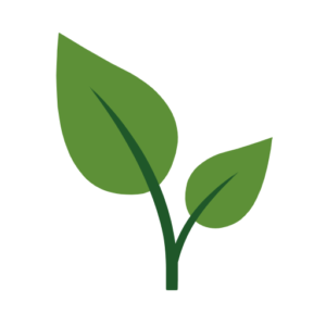 allnatura