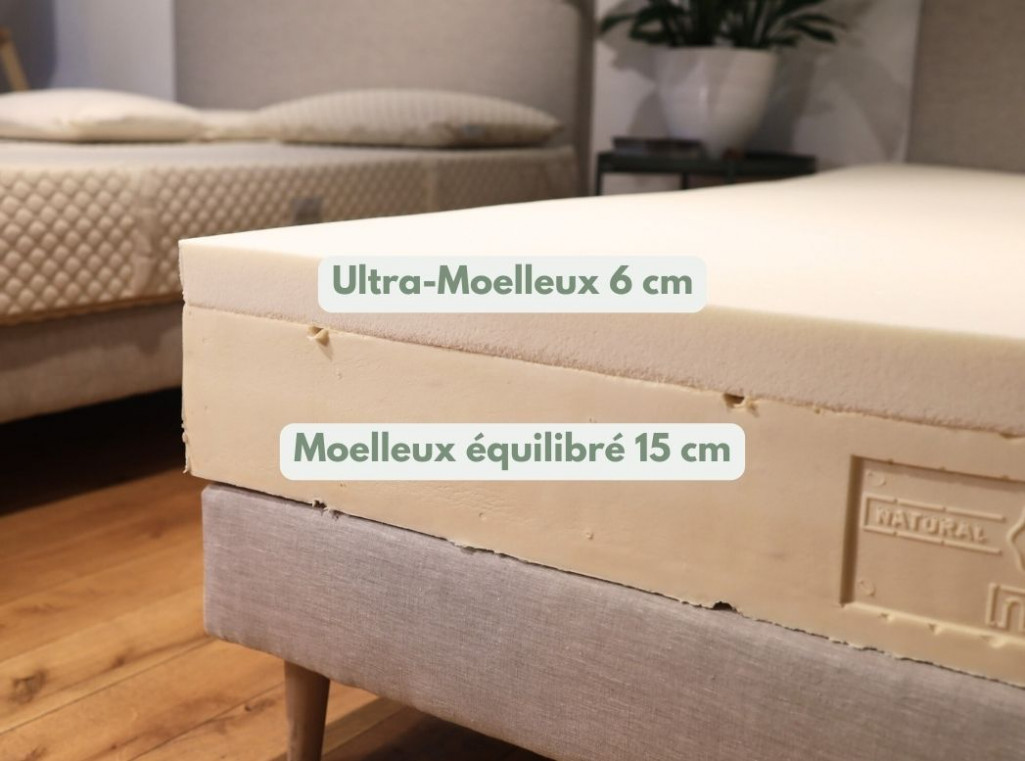LatexBio Latex Naturel Moelleux, coupe des deux couches de latex