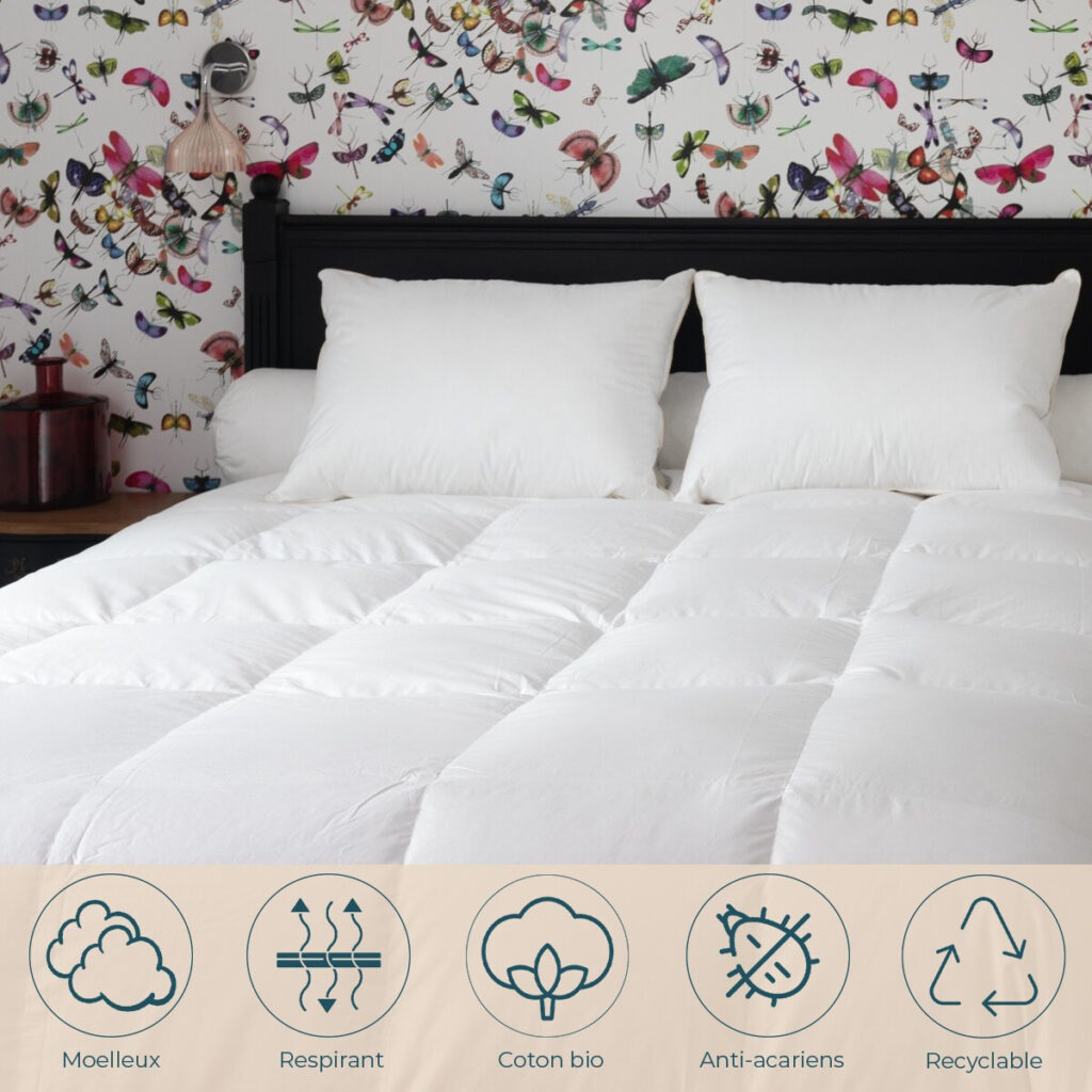 Oreiller duvet d'oie Castex vu de face