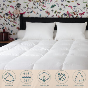 Castex Oreiller Duvet d&rsquo;Oie