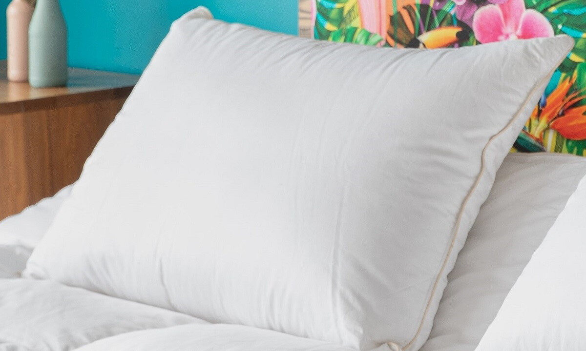 Castex Oreiller Duvet d’Oie