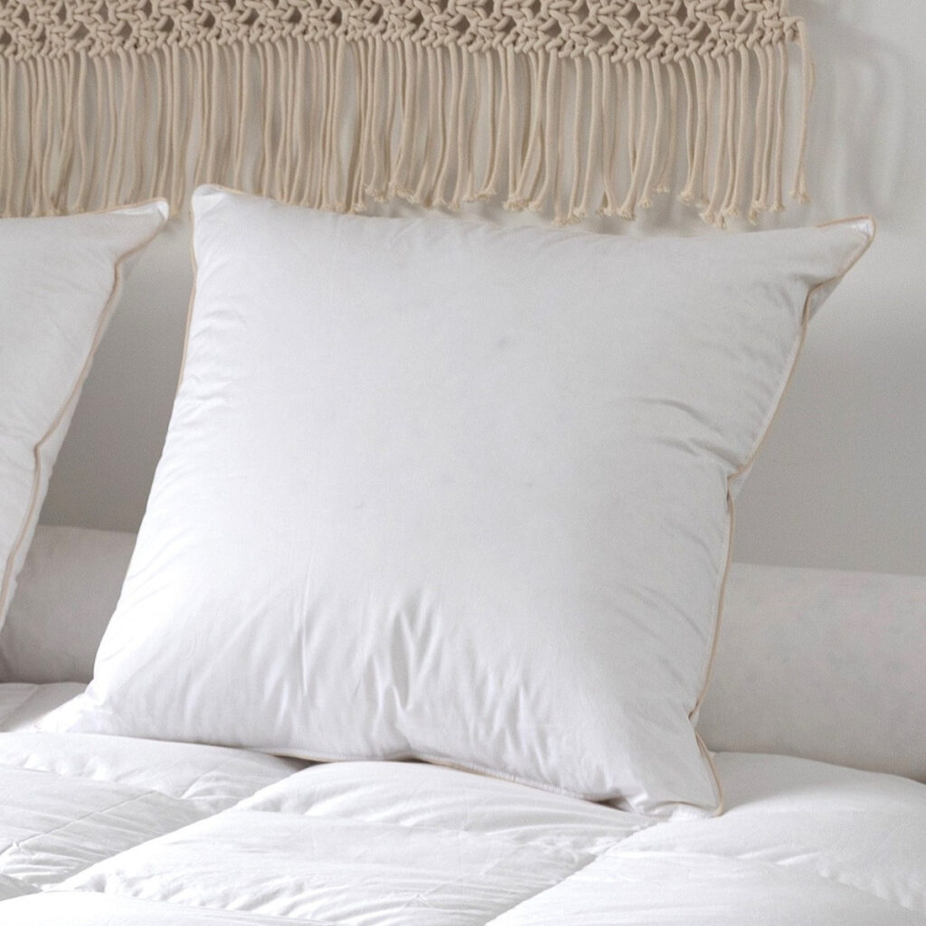 Oreiller duvet d'oie Castex dans une chambre claire