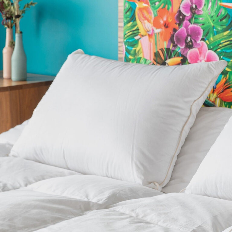 Castex Oreiller Duvet d&rsquo;Oie
