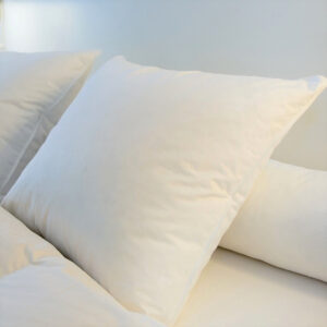 Castex Oreiller Plumes