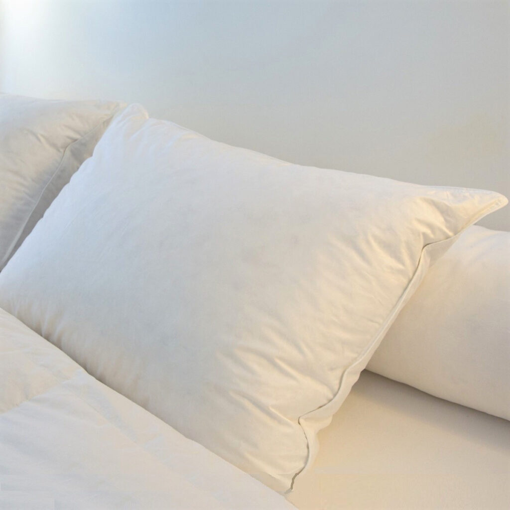Castex Oreiller Plumes