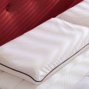 Someo Oreiller Ergonomique Latex Naturel