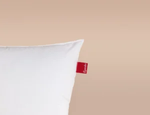 Épéda Délicatesse