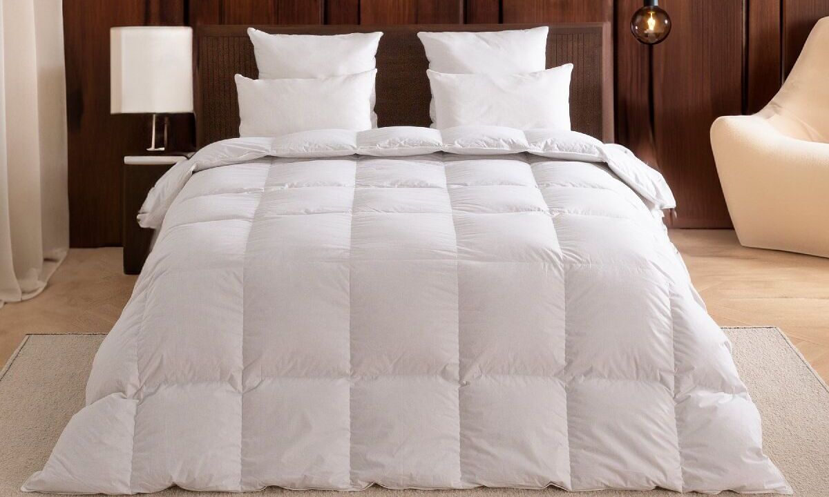 Couette Dodo : avis et comparatif des modèles