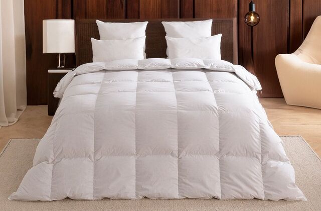 Couette Dodo